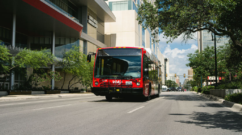 a bus driving down a lush urban street